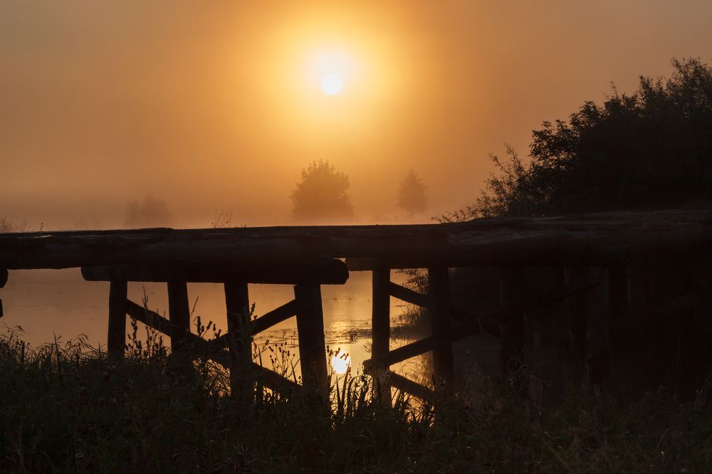 Photograph by Владимир Андреев