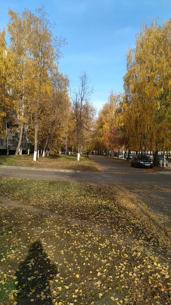 Photo #6668287