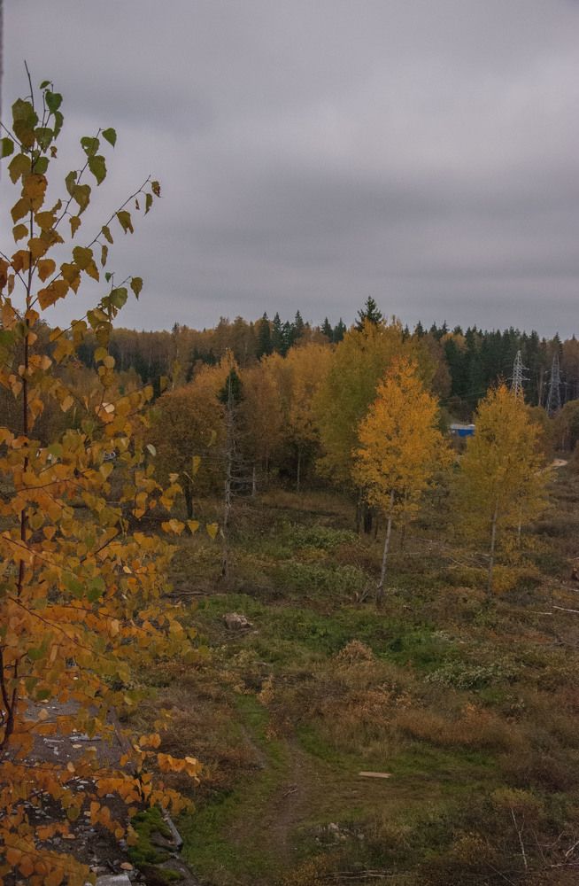 Photograph by Полина Голубь