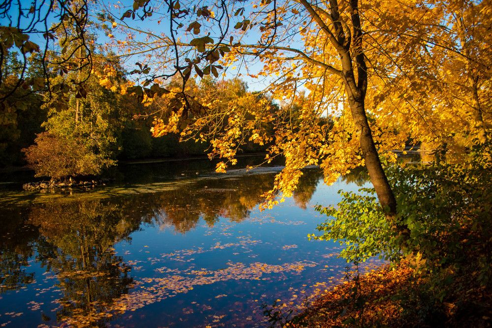 Photograph by Сергей Нагель-Синегубов