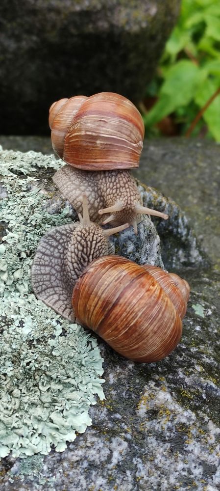 Фотография автора Novoseltsev Konstantin