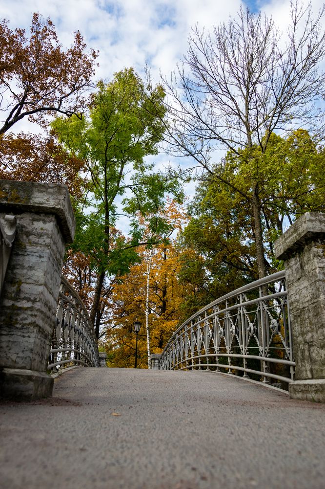 Photograph by Юля Курдова