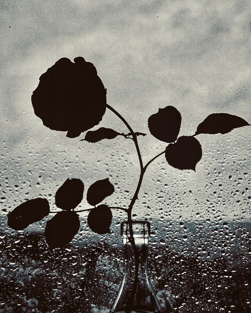 Photograph by Марина Неберекутина