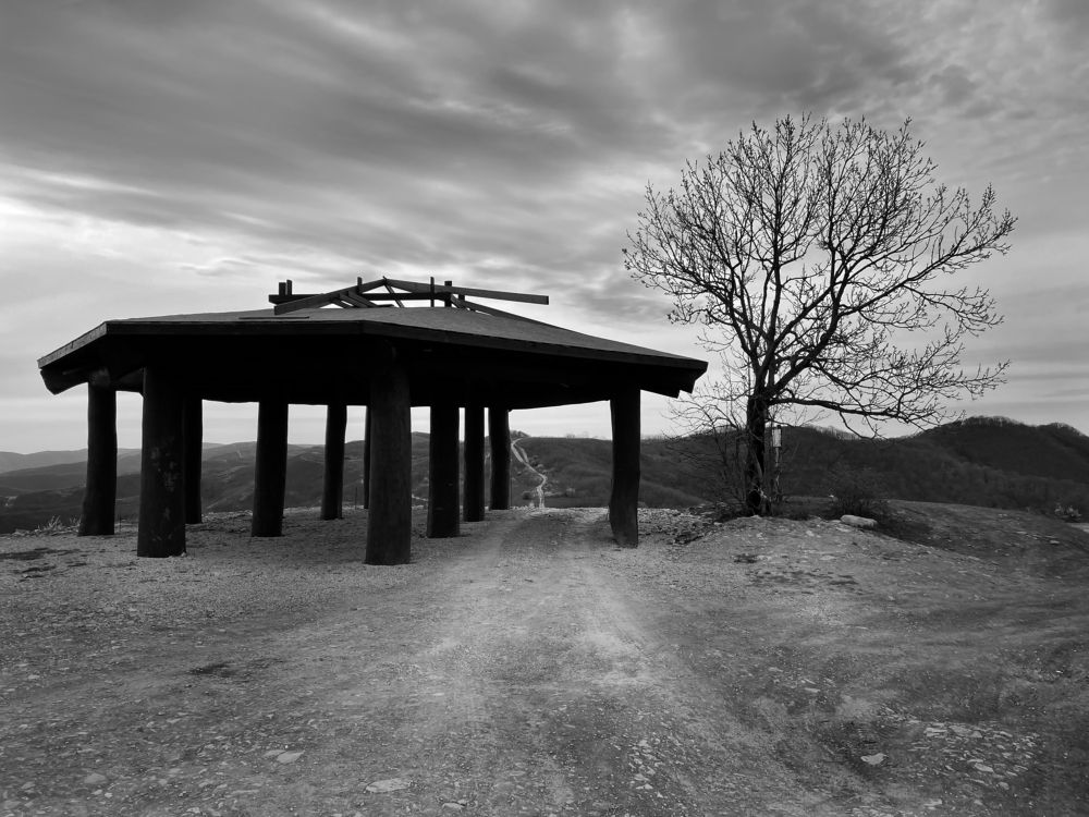 Photograph by Irina Galkina