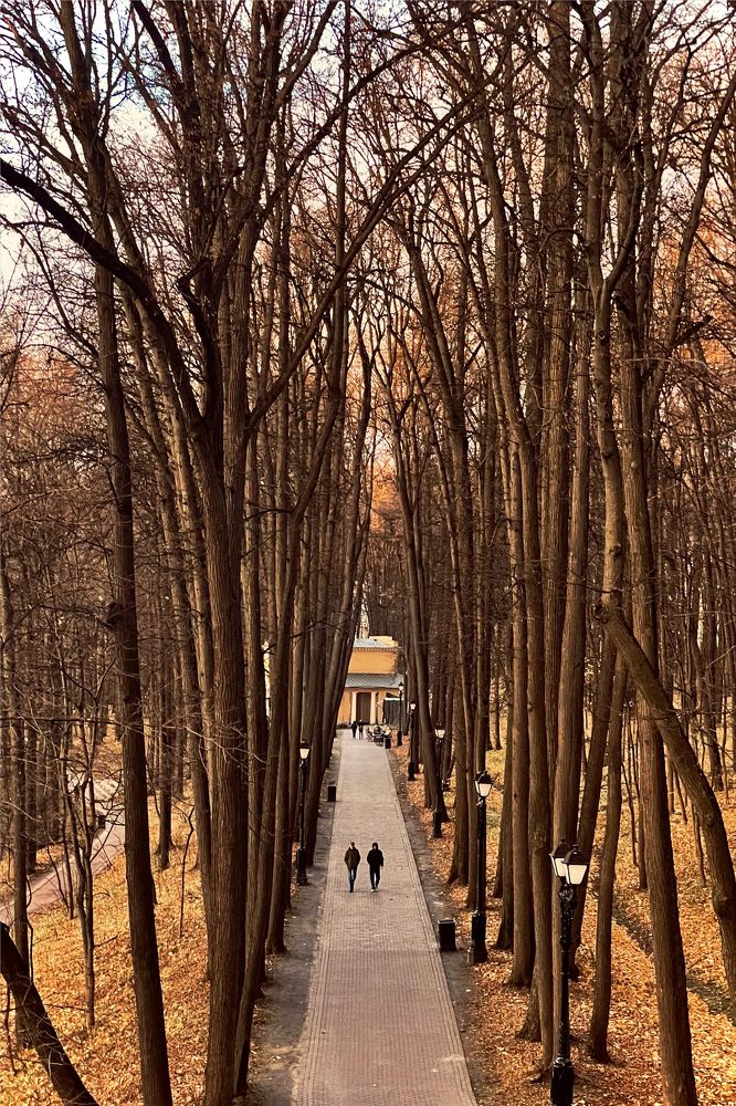 Photograph by Irina Galkina