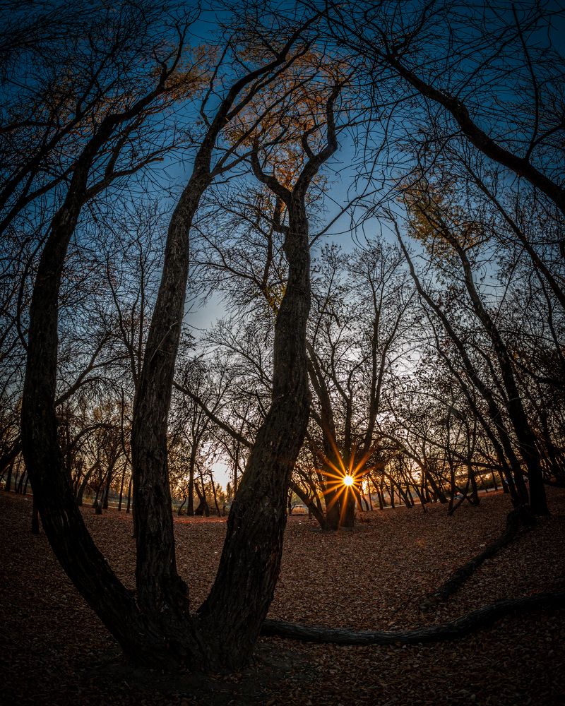 Photograph by Ольга