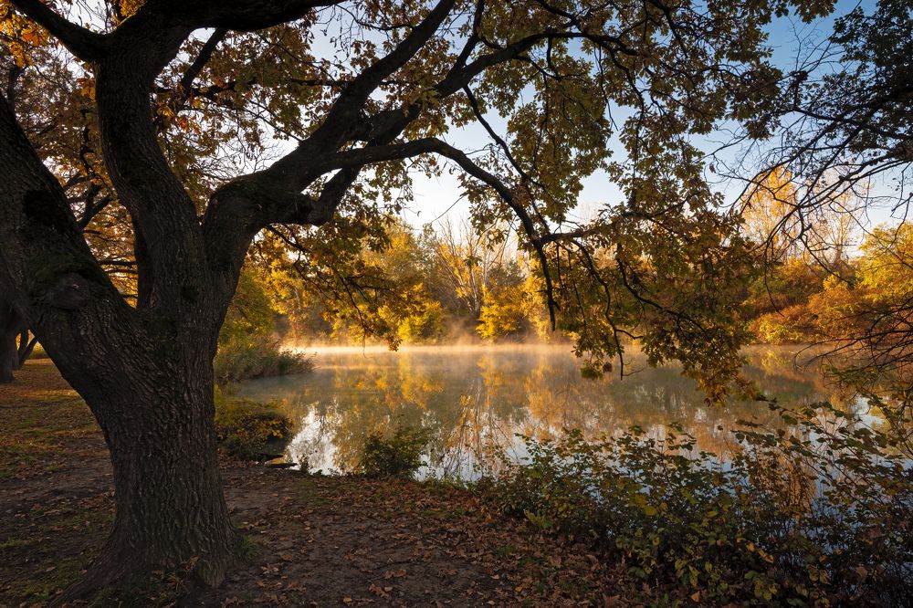 Осень на острове