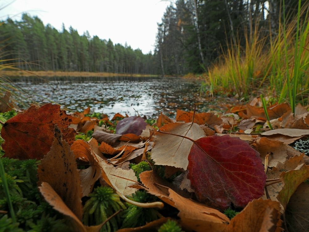 Photograph by Евгений Яковлев
