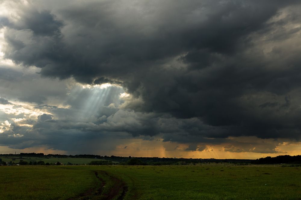Photograph by Фёдор Передиреев
