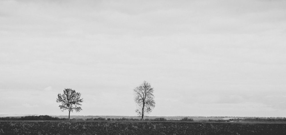 Фотография автора Юлия Капустинская