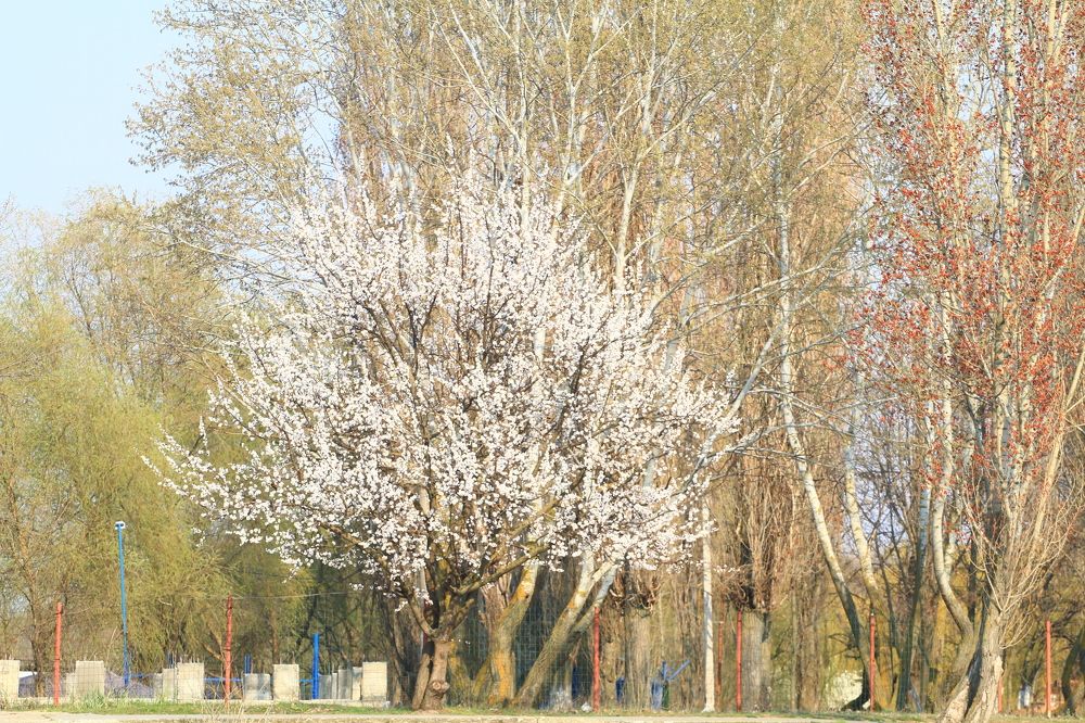 Photograph by Сергей Оплачко