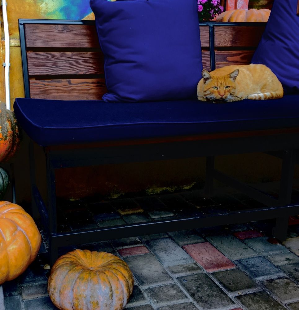 Photograph by Татьяна Мухачева