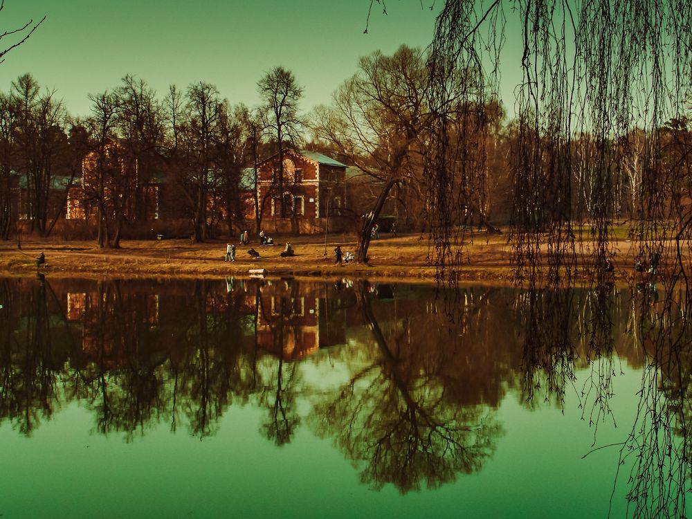 Photo #6668659