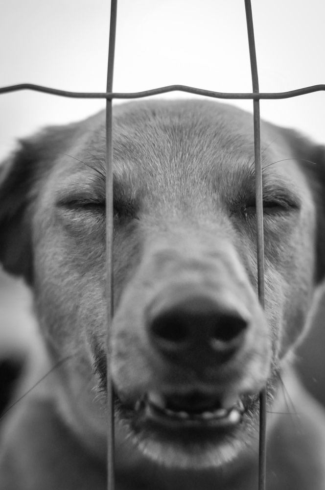 Photograph by Wilker carvalho