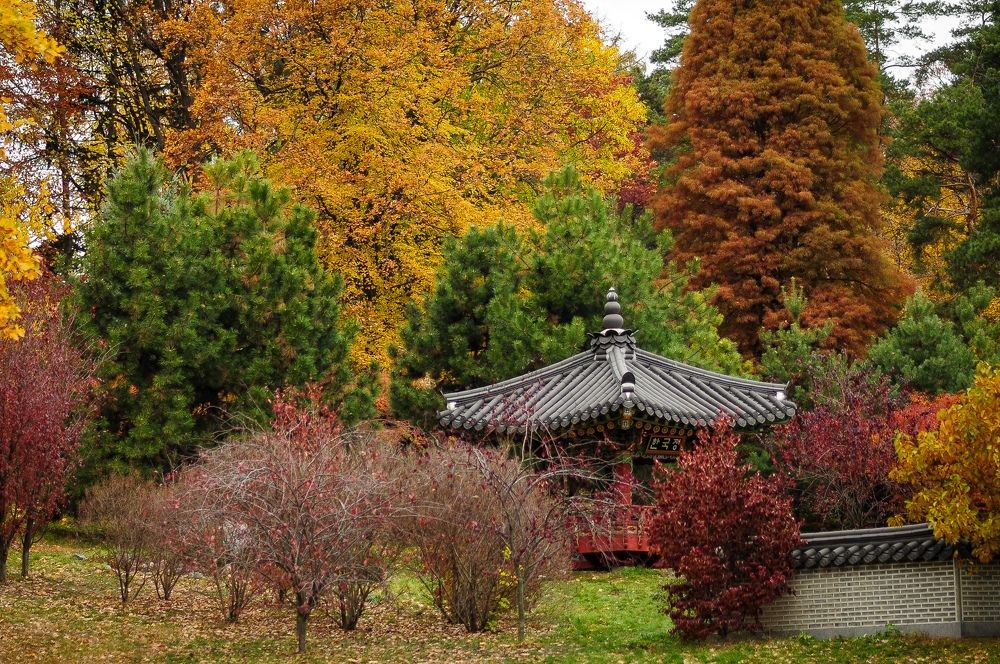 Photograph by Ольга Кудина