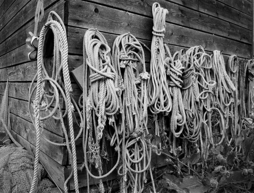 Photograph by Дмитрий Сосна