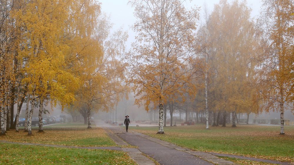 Дорога длиною в осень.