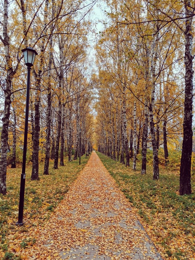 Photograph by Сергей Коробейников