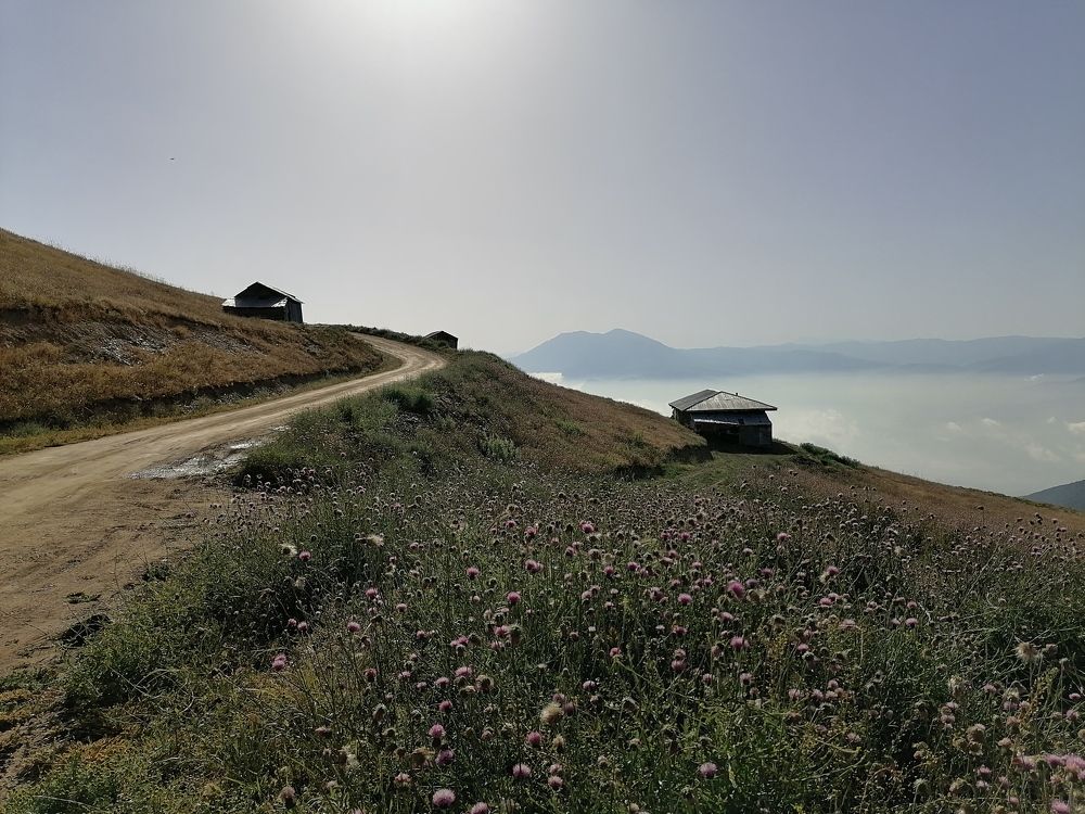 Photograph by Kambiz Habibi