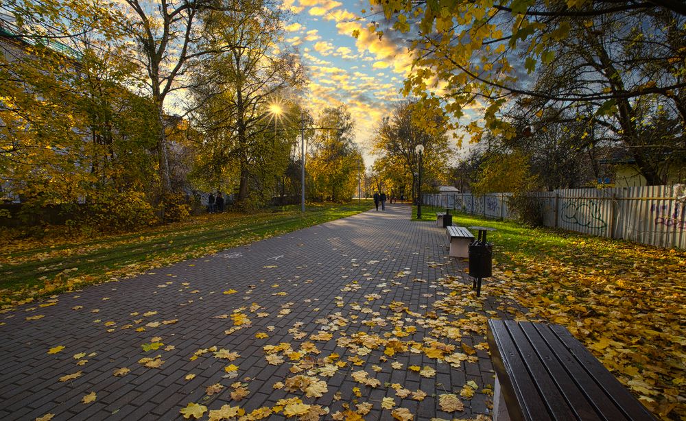 Золотой денёк. October sunset