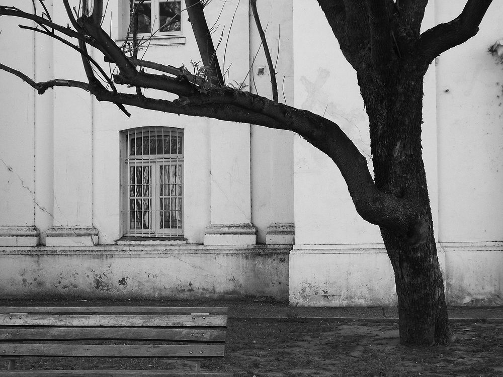 Pavilion Guard