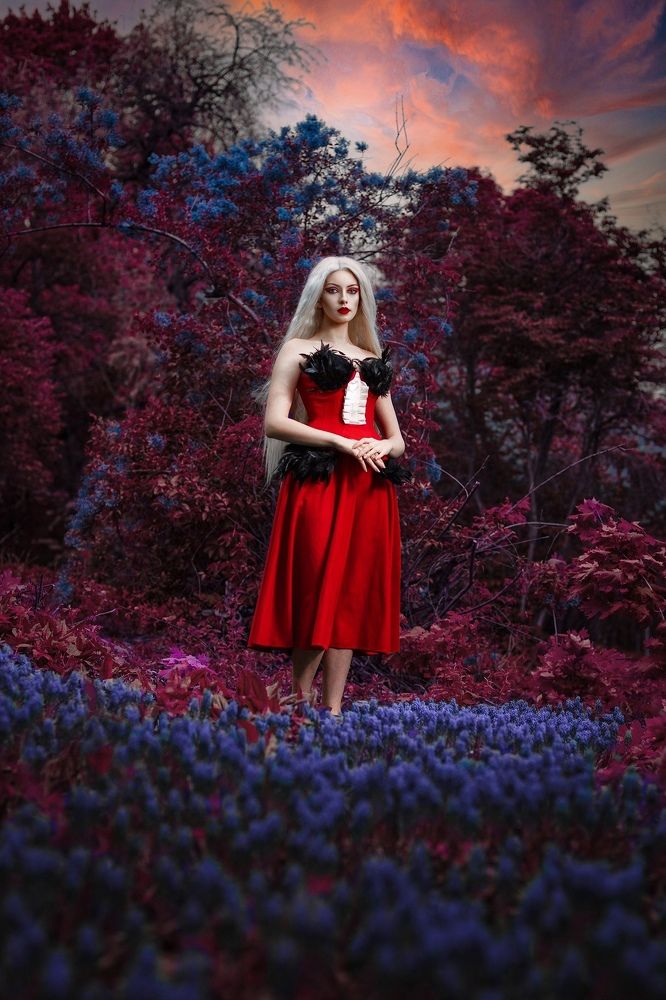 Фотография автора Max Solve