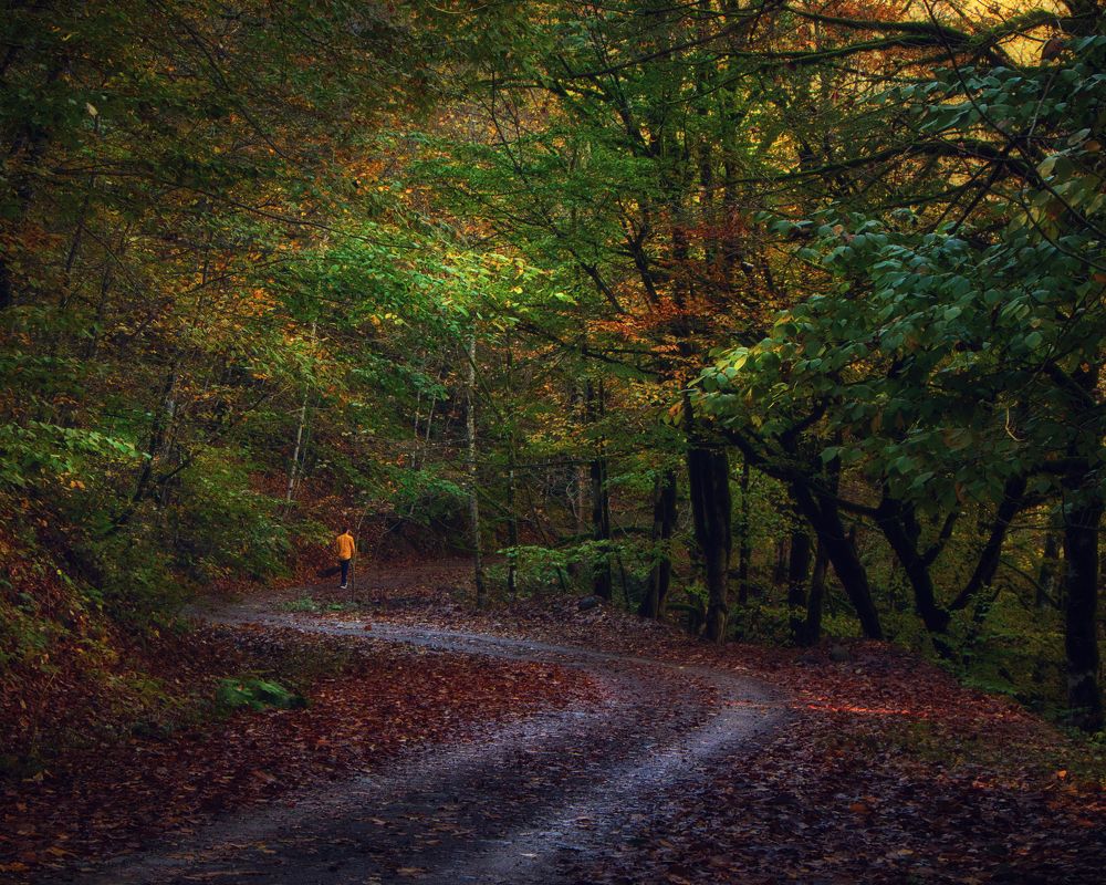 Photograph by Parsa Kamali