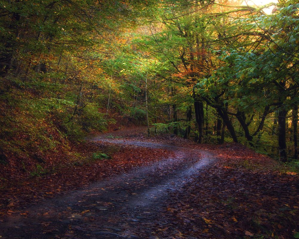 Photograph by Parsa Kamali