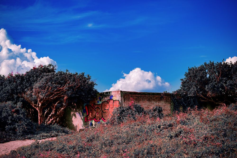 Photograph by Adrian Ramirez