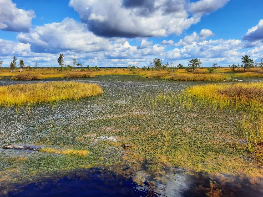 Photograph by Ольга Ларизадех