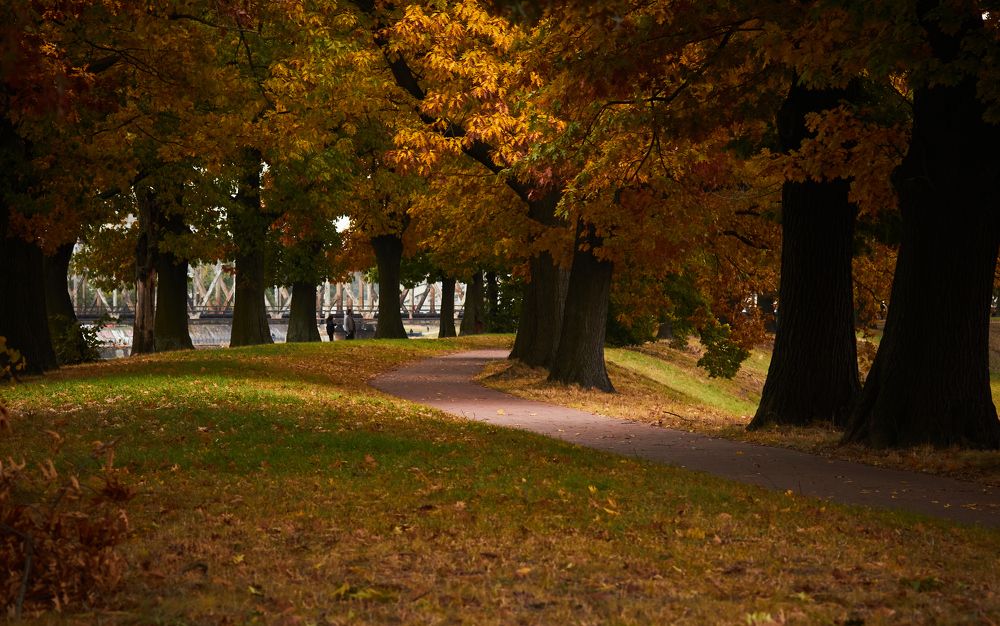 Photograph by Евгений Маркин