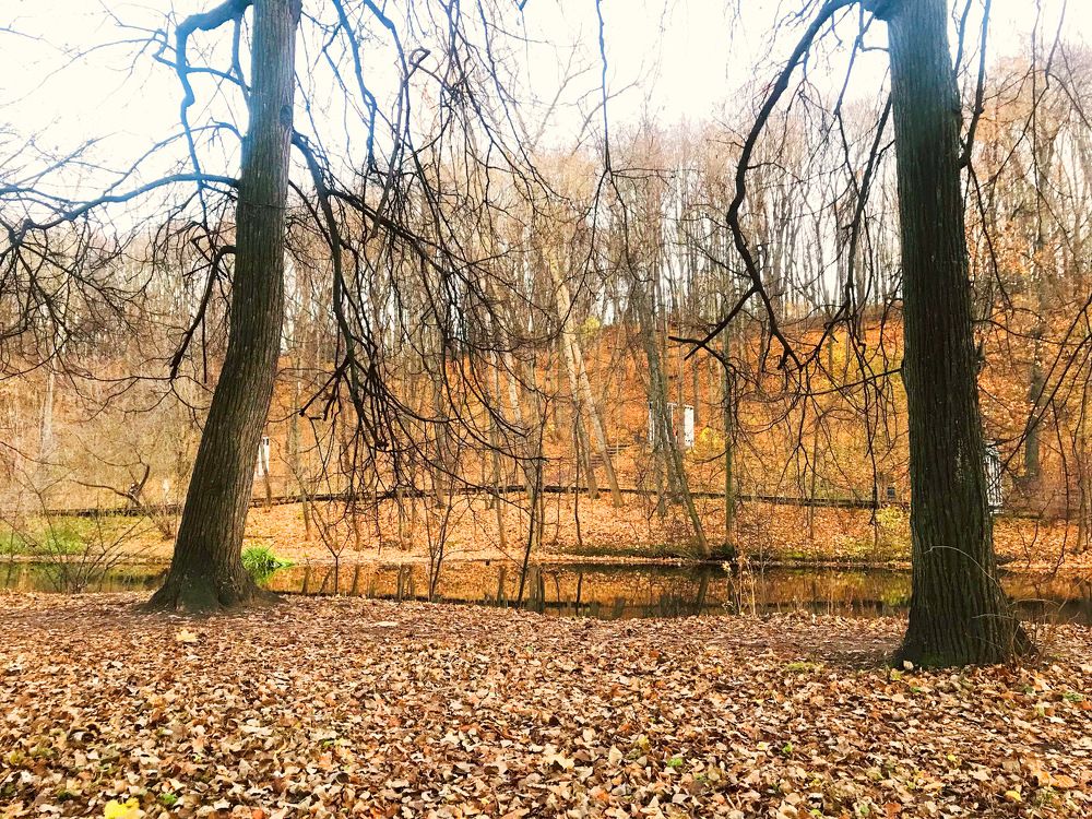 Photograph by Соня