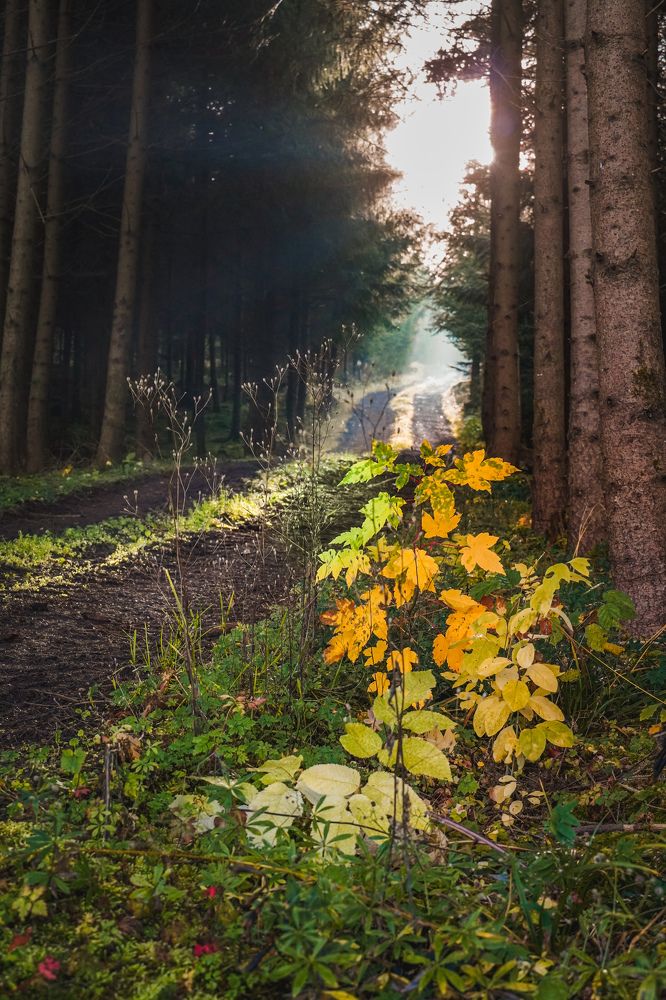 Photograph by Reinhold Seibel