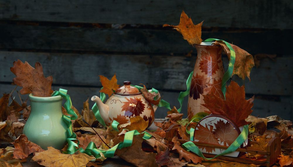 Обаятельный собеседник