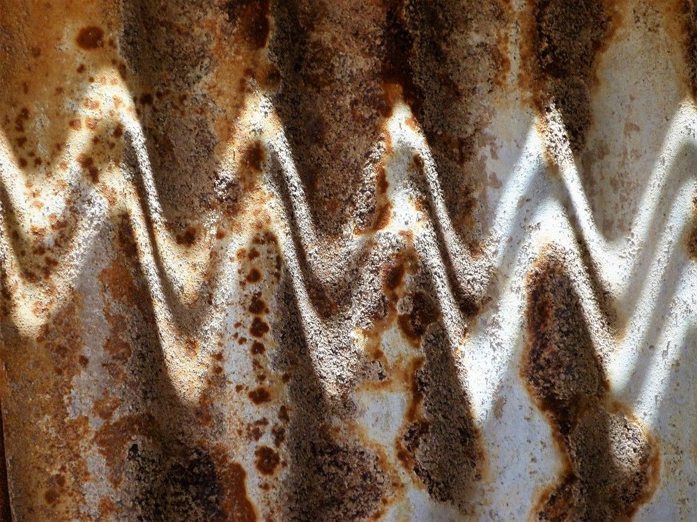 Photograph by wilfredo rojas