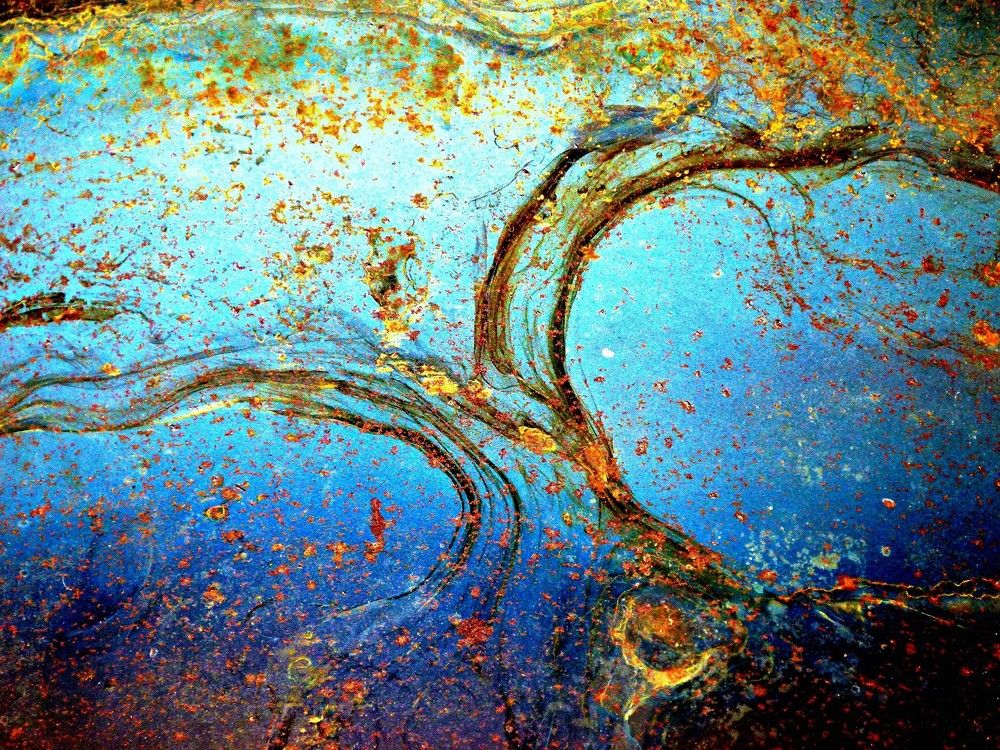 Photograph by wilfredo rojas