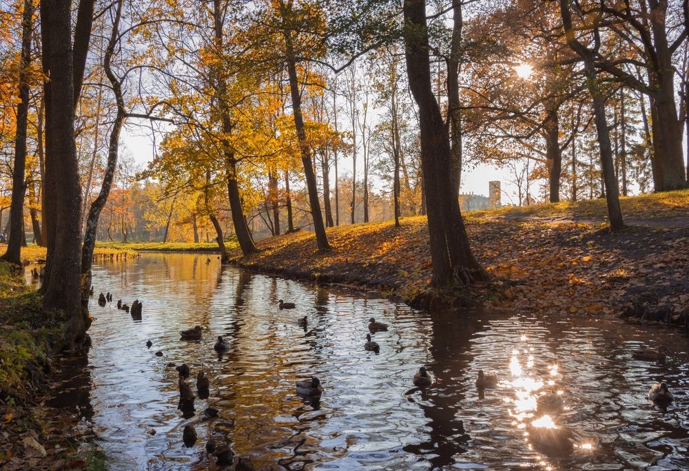 Photograph by Kirill Yakowlew