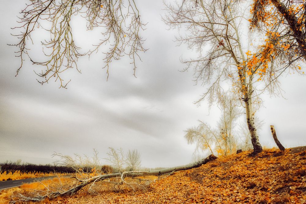 Photograph by Javad zavvar