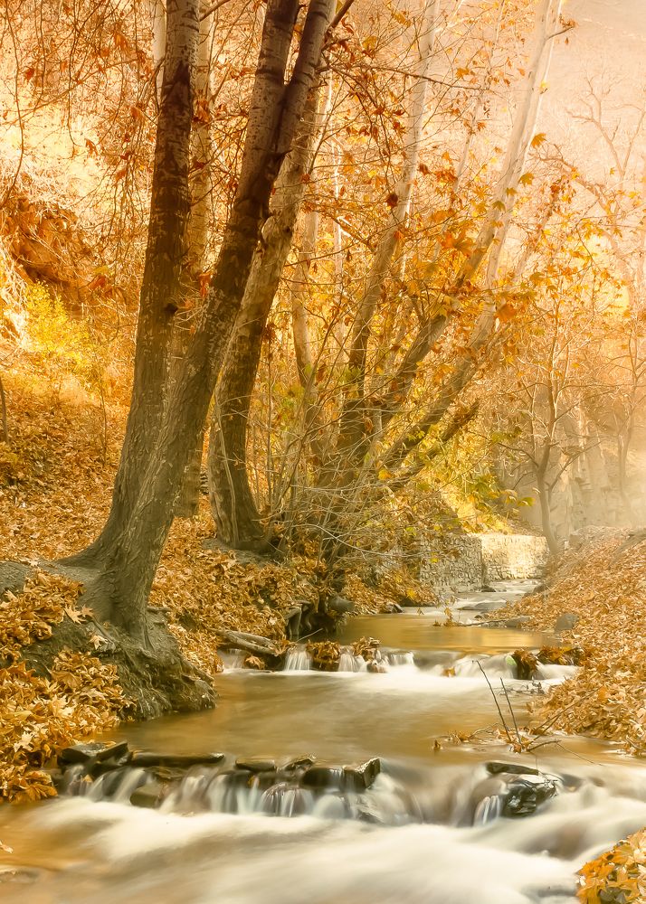 Photograph by Javad zavvar