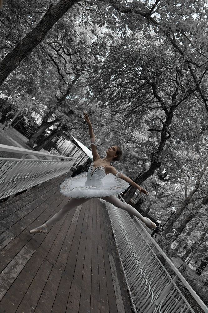 Photograph by Ксения Кошлякова