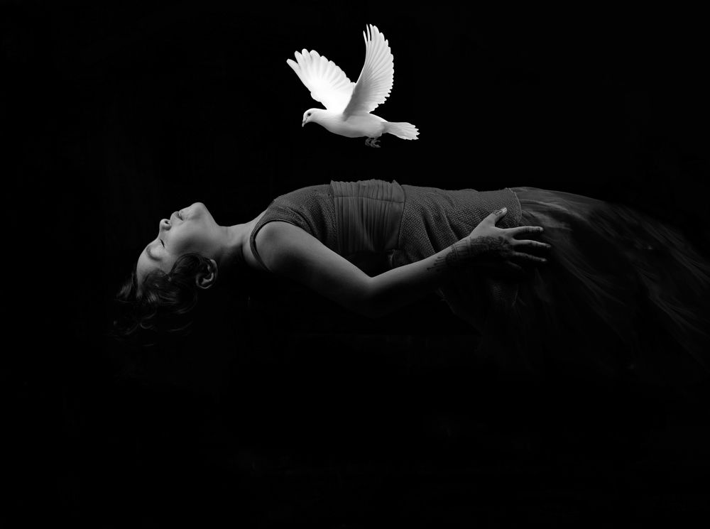 Wings of imagination!