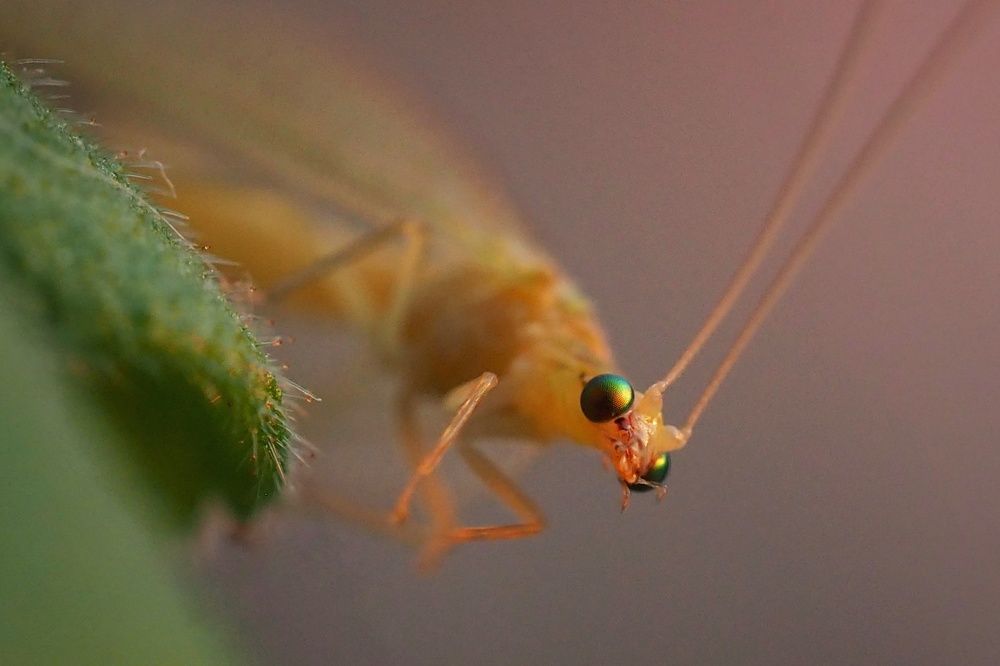 Photograph by Ирина