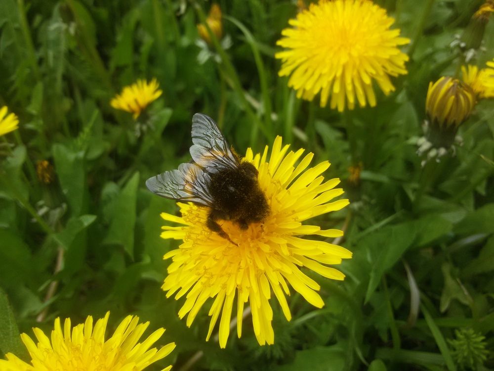 Photograph by Olga Bagaeva