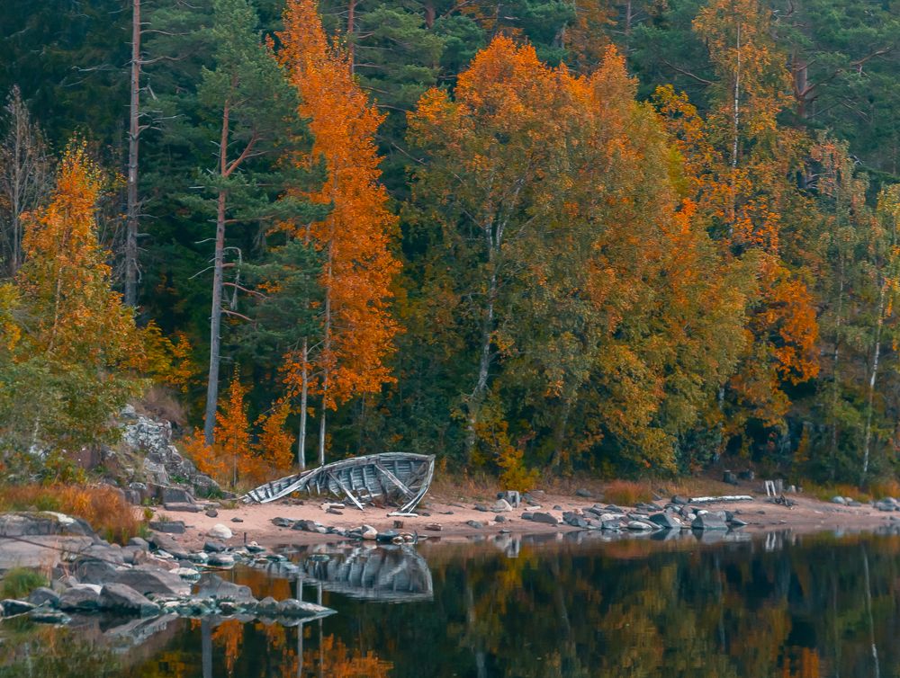 Фотография автора Олег Анатольевич Загорулько
