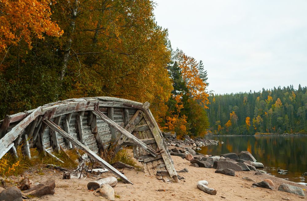 Фотография автора Олег Анатольевич Загорулько