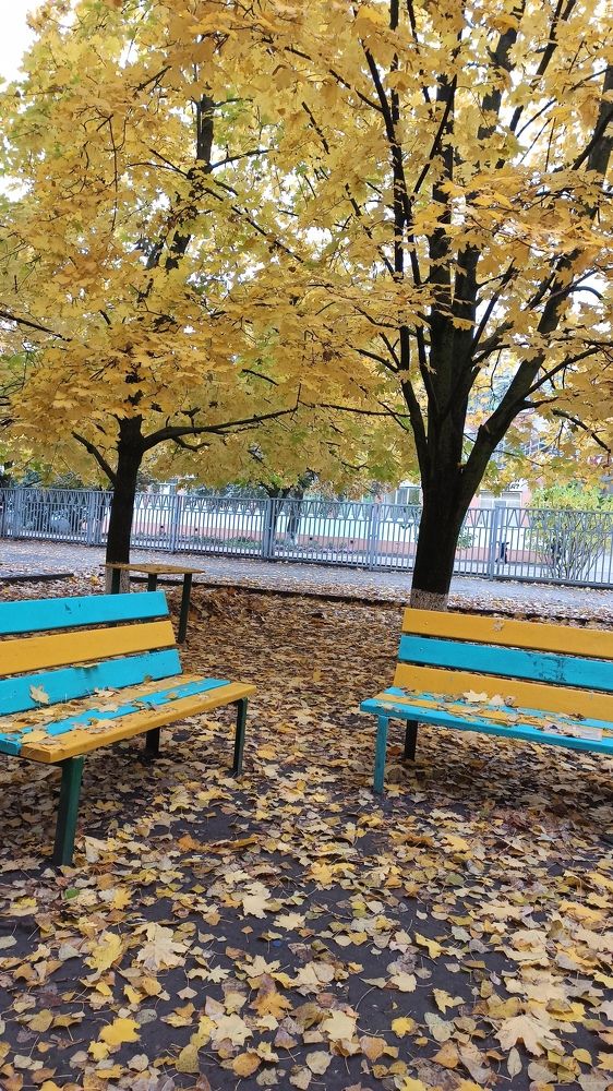 Autumn blues