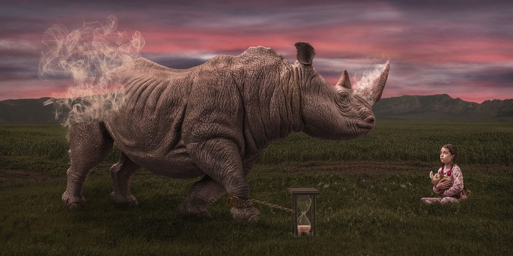 Фотография автора Peter Rooney