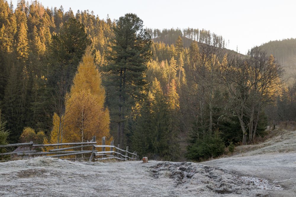 Фотография автора Андрій Лучишин
