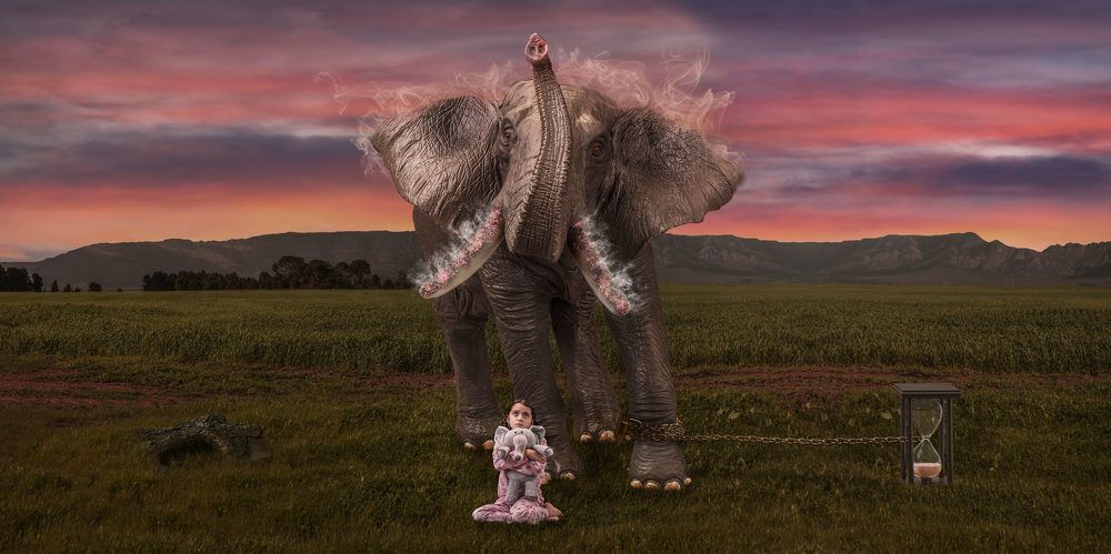 Фотография автора Peter Rooney