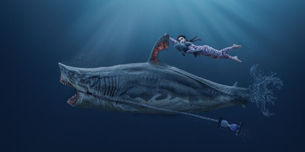 Фотография автора Peter Rooney